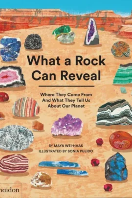 What a Rock Can Reveal