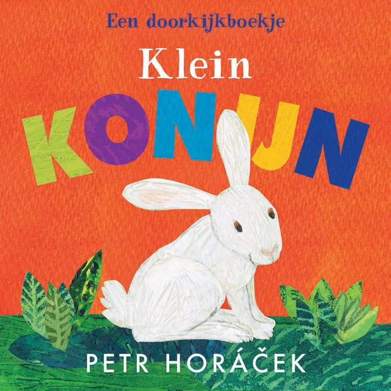 Klein konijn | 9789047716129 Klein konijn