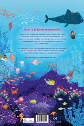 Alternative view of Waar is de kleine zeemeermin?