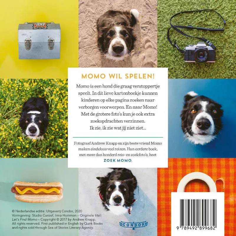 Waar is Momo? | 9789492899682 Waar is Momo? - Afbeelding 2