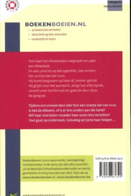 Alternative view of Bolbliksem