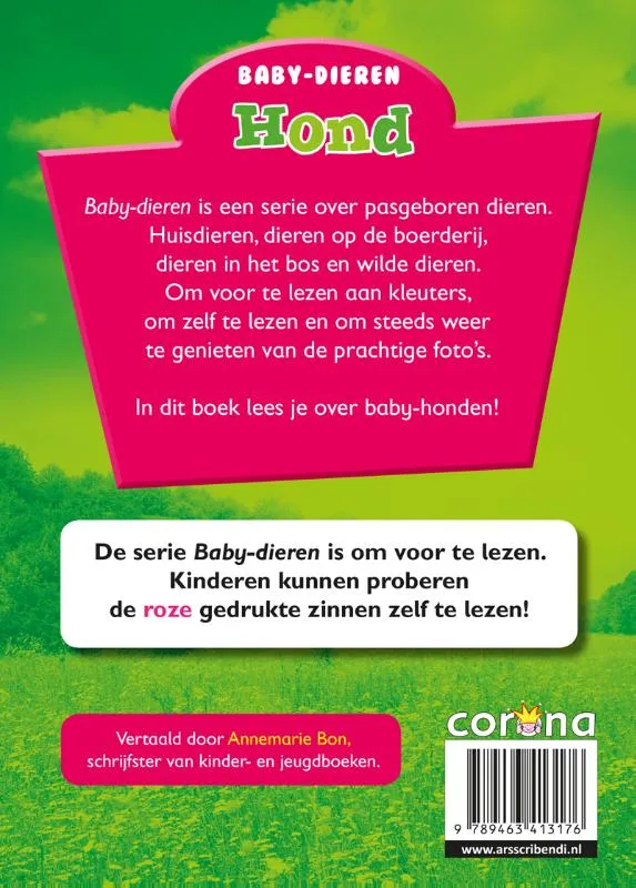 Hond | 9789463413176 Hond - Afbeelding 2