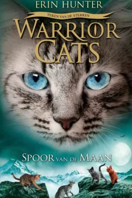 Spoor van de maan