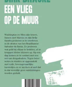 Alternative view of Een vlieg op de muur