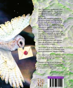 Alternative view of Harry Potter en de steen der wijzen