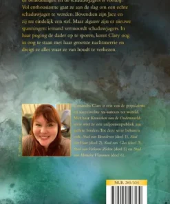 Alternative view of Stad van Gevallen Engelen