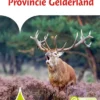 Provincie Gelderland | 9789048814169 Provincie Gelderland | 9789048814169