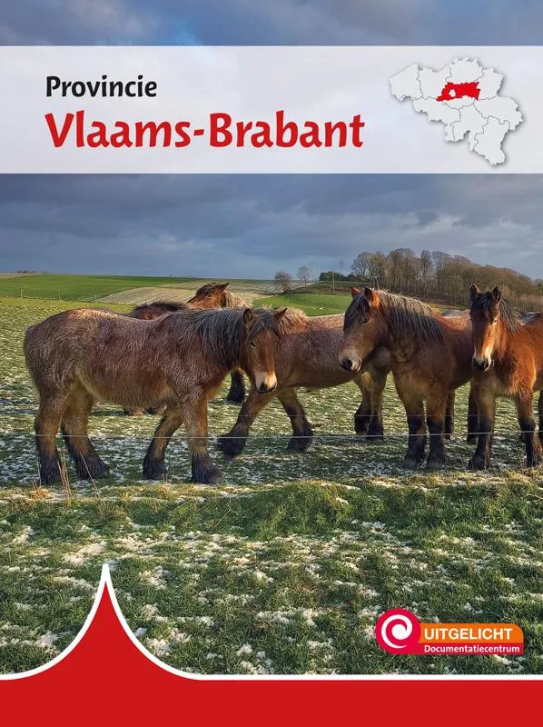 Provincie Vlaams-Brabant | 9789463417273 Provincie Vlaams-Brabant