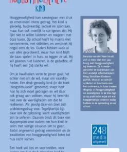 Alternative view of Het hoogstimulatieve kind