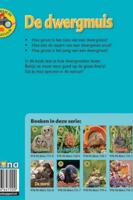 Alternative view of De dwergmuis