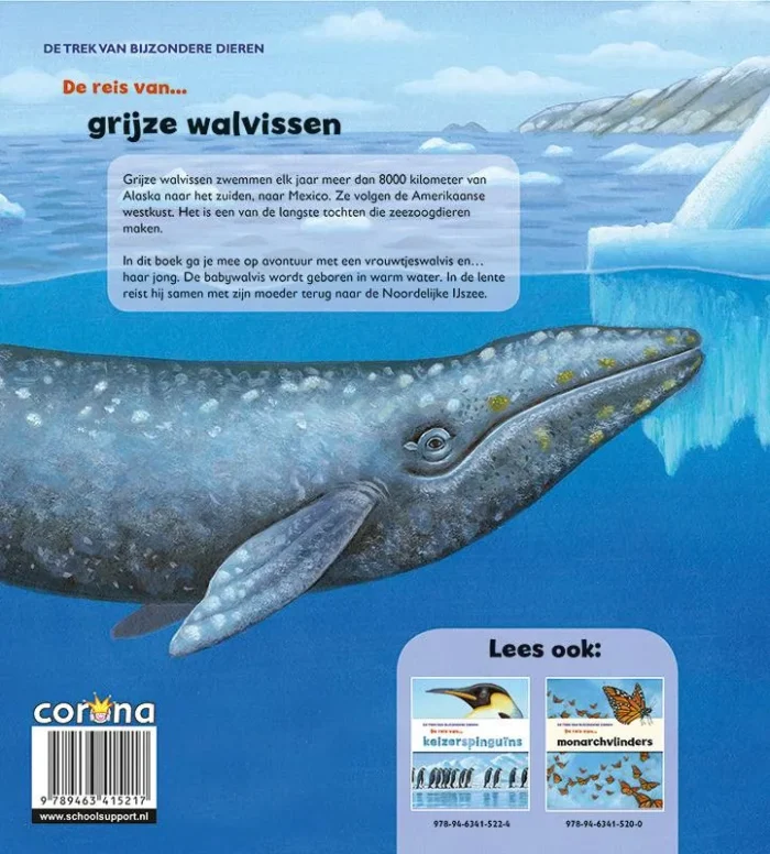De reis van grijze walvissen - Afbeelding 2