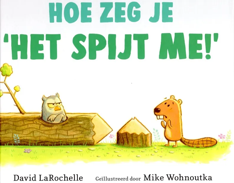 Hoe zeg je 'Het spijt me!' | 9789053418208 Hoe zeg je 'Het spijt me!'