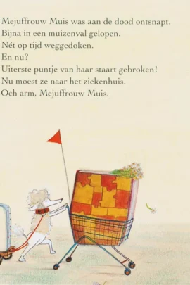 Mejuffrouw Muis in het ziekenhuis | 9789056379629