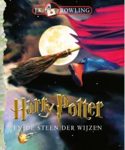 Harry Potter en de Steen der Wijzen