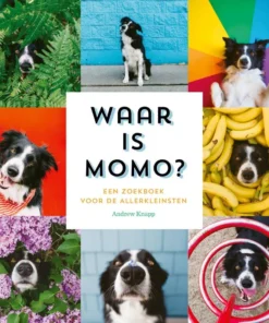 Waar is Momo?