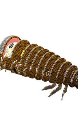 Eugy 3D model Kiwi | 9421036940138