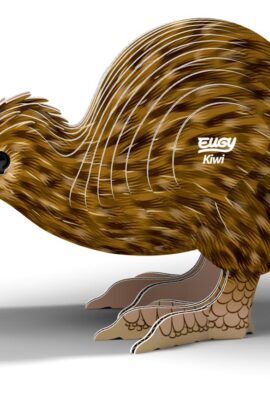 Alternative view of Eugy 3D model Kiwi