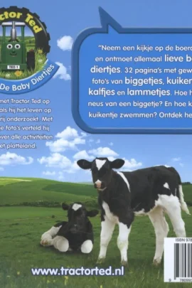 Alternative view of Tractor Ted