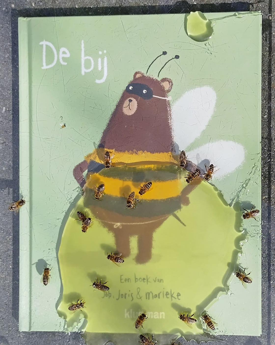 Boekentip: De Bij | Boekentip: De Bij |