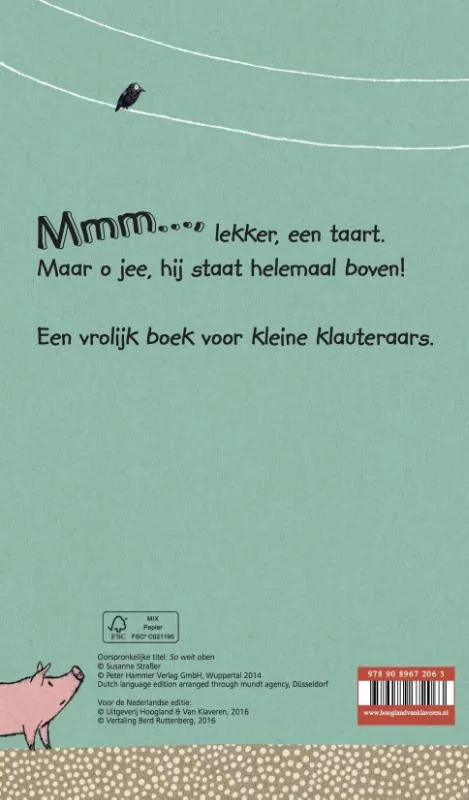 Mmm... een taart! | 9789089672063 Mmm... een taart! - Afbeelding 2