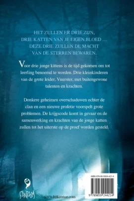 Alternative view of Het tweede gezicht