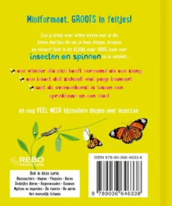 Alternative view of Het kleine maar grote boek over insecten en spinnen