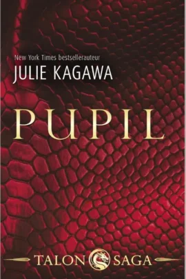 Pupil