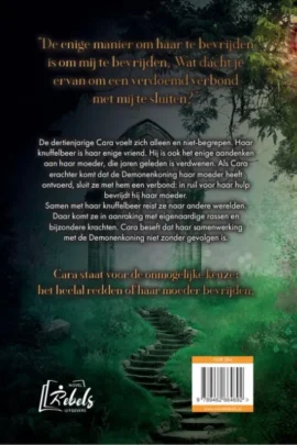 Het verdoemde verbond | 9789462664692