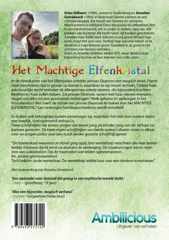 Het machtige elfenkristal | 9789493366992 Het machtige elfenkristal - Afbeelding 2