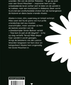 Het grote misschien | 9789025768683 Het grote misschien - Afbeelding 2