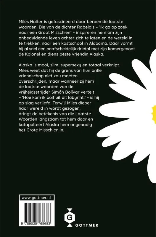 Het grote misschien | 9789025768683 Het grote misschien - Afbeelding 2