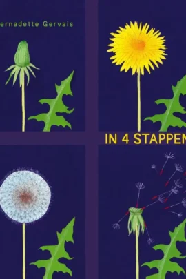 In 4 stappen