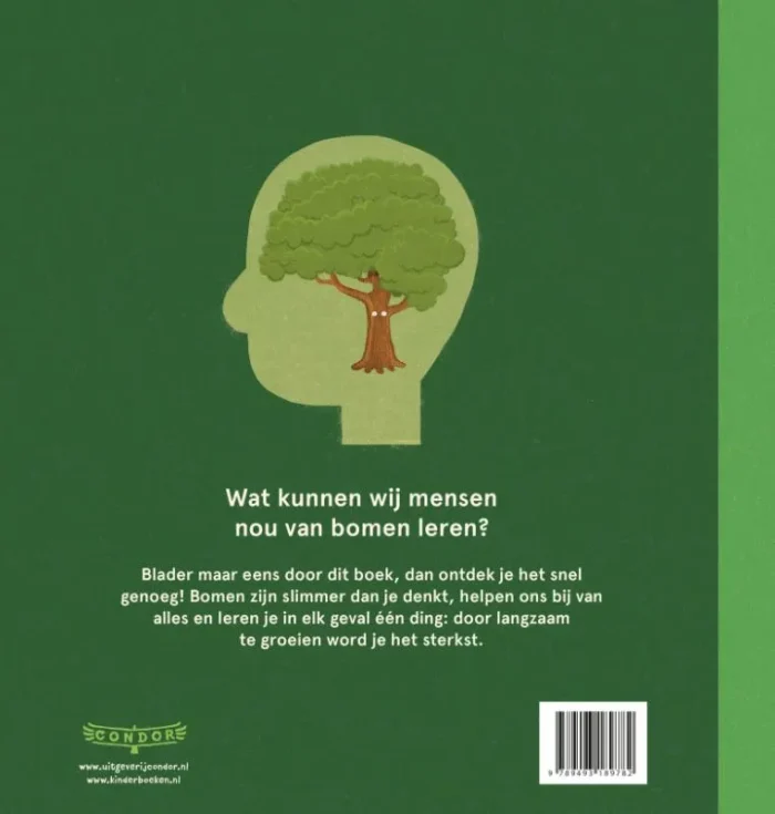 Het fijne brein van bomen - Afbeelding 2