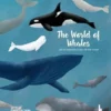 The World of Whales Get to Know the Giants of the Ocean | 9789083287607