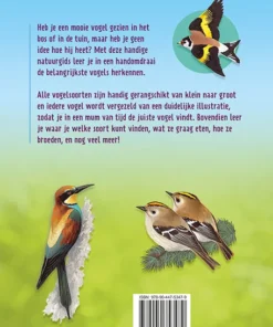 Alternative view of Vogels herkennen en observeren