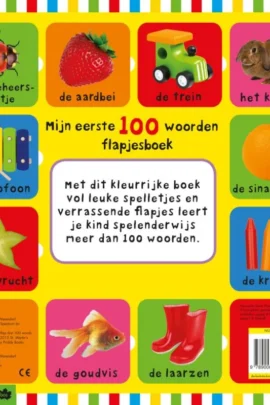 Alternative view of Mijn eerste 100 woorden flapjesboek