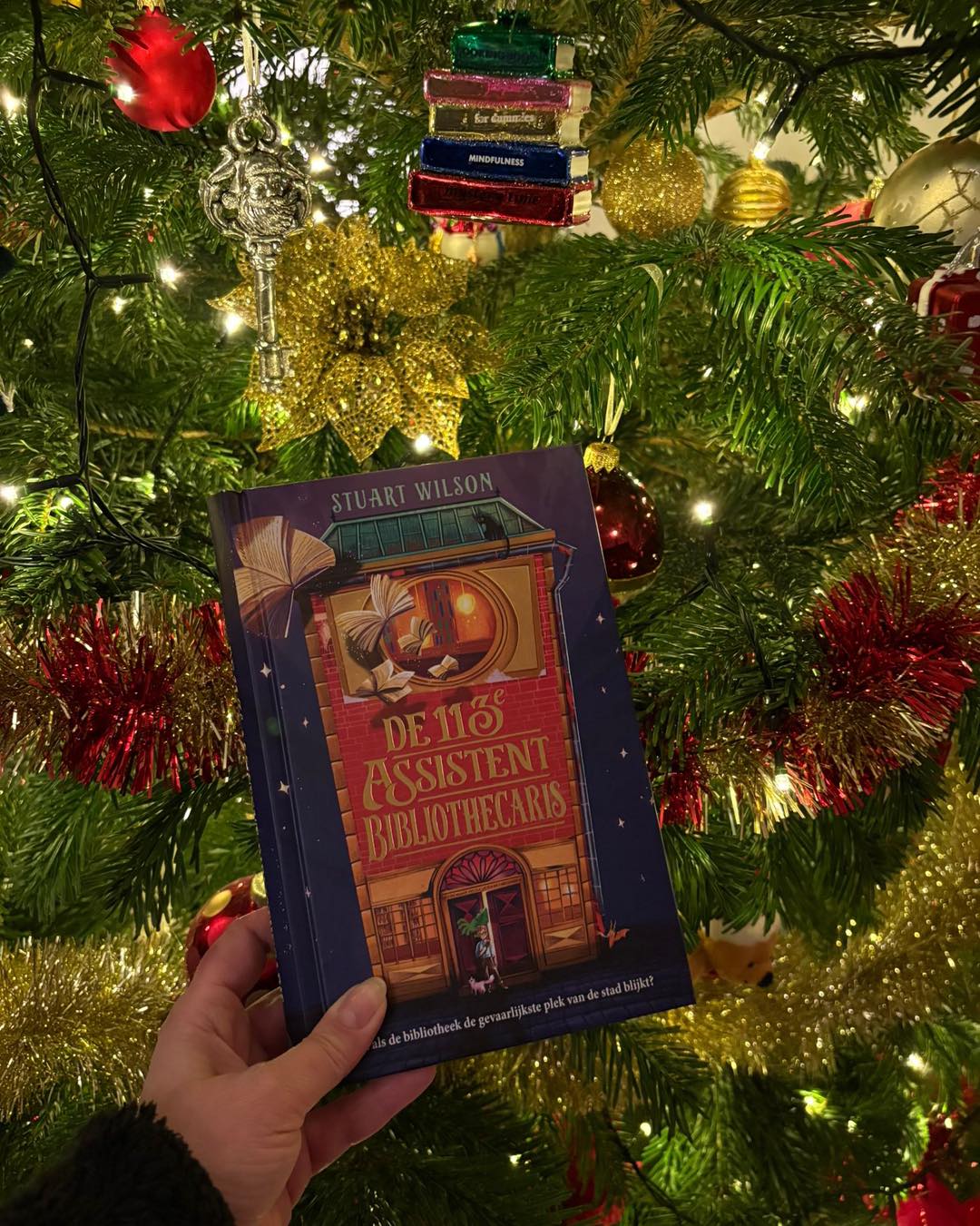 Boekentip: De 113e assistent bibliothecaris |