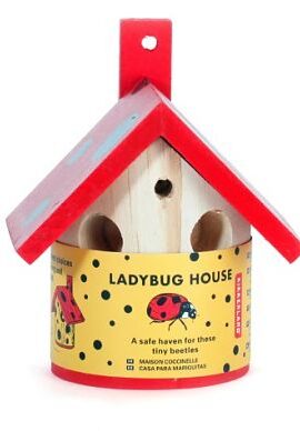 Lieveheersbeesthuisje