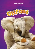 Olifant | 9789463412292