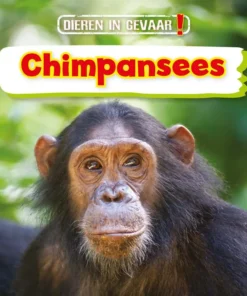Chimpansees