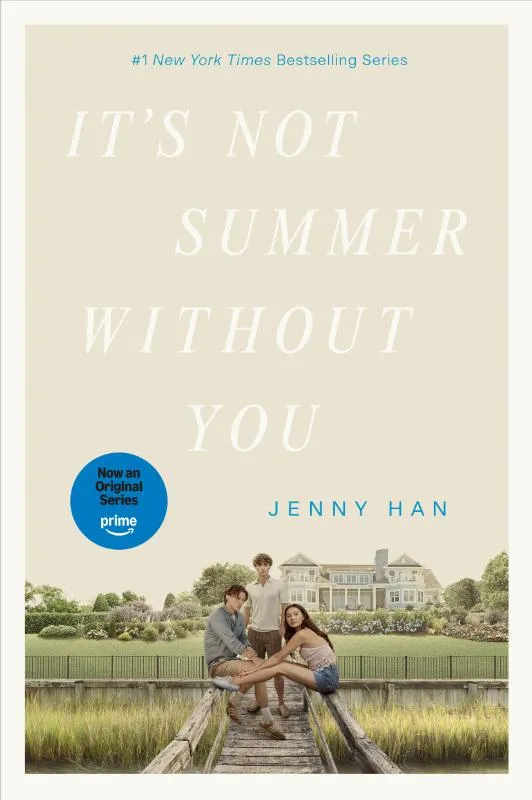 It's Not Summer Without You | 9781665937993 It's Not Summer Without You