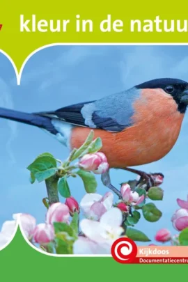 Kleur in de natuur