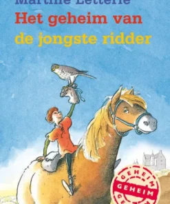 Het geheim van de jongste ridder