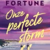 Onze perfecte storm - Is één week in het paradijs genoeg om een band te lijmen of is dit het einde van een jarenlange vriendschap? | 9789000403790