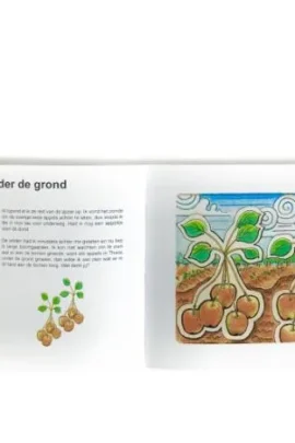 Alternative view of De vuurvogel van Thaos