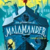 Het geheim van de malamander | 9789000345328