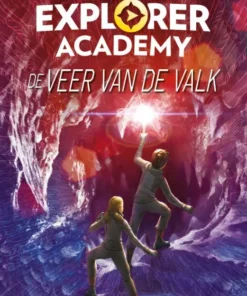 De veer van de valk