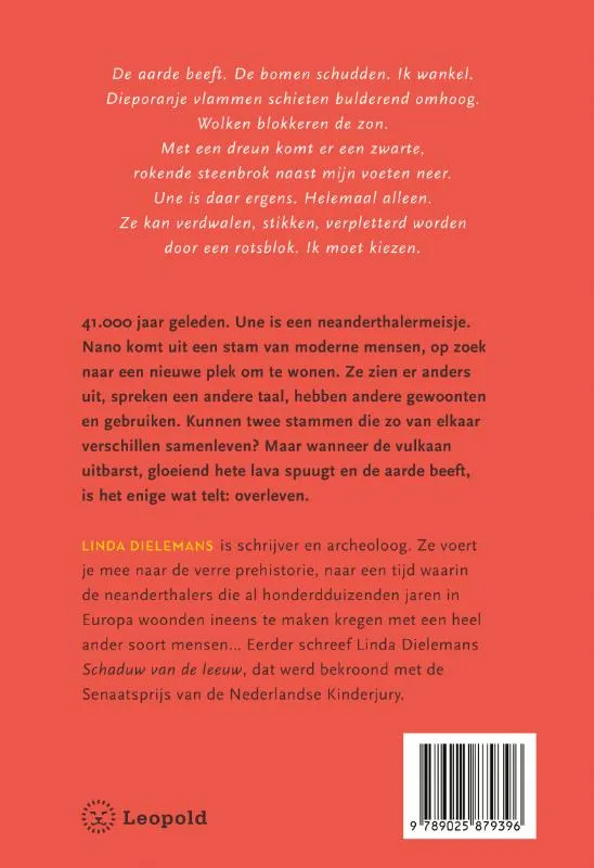 Het lied van de vreemdeling | 9789025879396 Het lied van de vreemdeling - Afbeelding 2