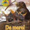 De merel | 9789086647262 De merel | 9789086647262