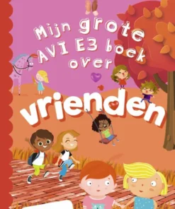 Mijn grote AVI E3 boek over vrienden